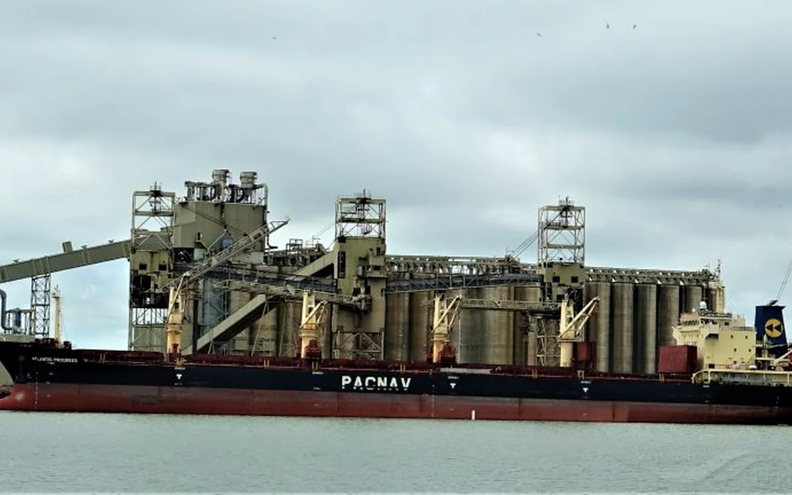 Zodiac Shiptrade customer-supplied fleet photograph 07